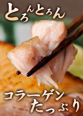 �Ƃ��Ƃ��R���[�Q�������Ղ�