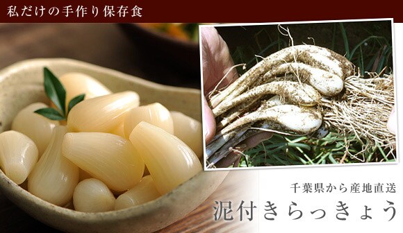 泥つきらっきょう ｜ Oisix産直おとりよせ市場