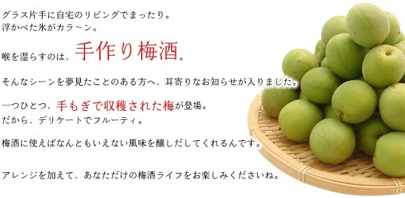 手もぎで収穫された梅を使って、あなたのオリジナル梅酒を作ってみませんか