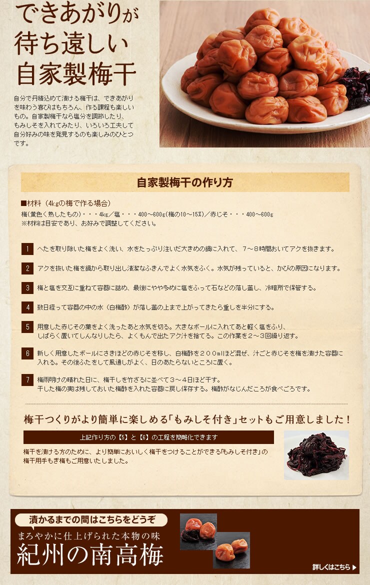 手作り梅酒 早速作ってみました