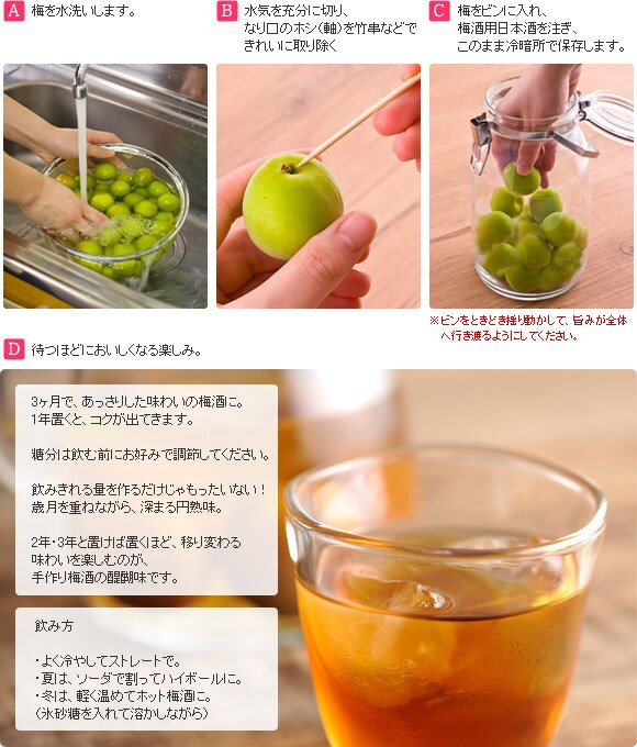 手作り梅酒 早速作ってみました