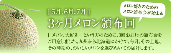 �R�����������Еz��