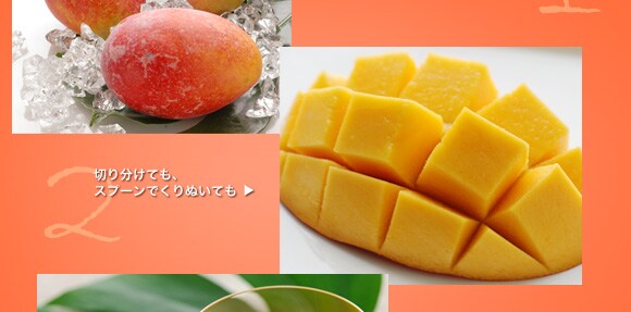 ���������}���S�[�T���̗����A���͂��܂�܂��B