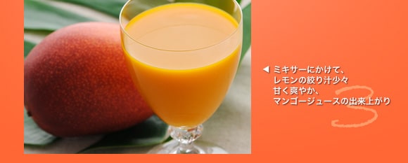���������}���S�[�T���̗����A���͂��܂�܂��B