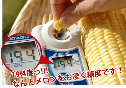 19.4度っ!!!なんとメロンをも凌ぐ糖度です!