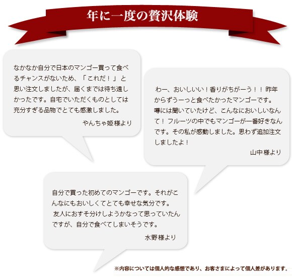 人気No.1マンゴーで、年に一度の贅沢体験