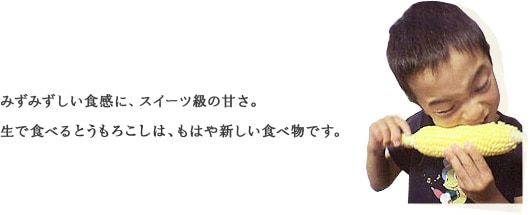 みずみずしい食感に、スイーツ級の甘さ。生で食べるトウモロコシは、もはや新しい食べ物です。