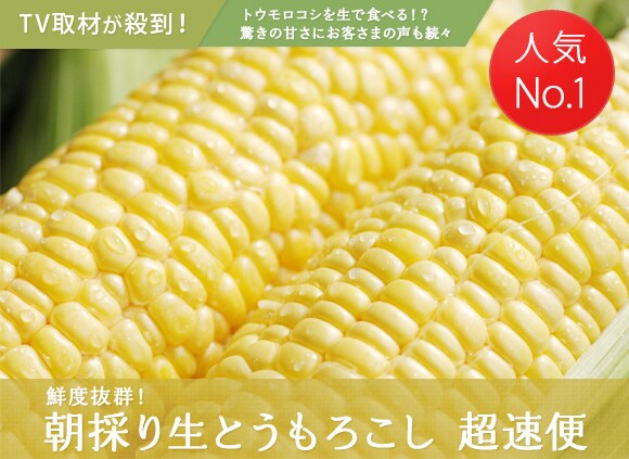 朝採り生とうもろこし 超速便を産地直送!