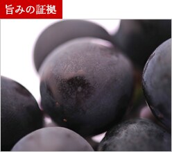 巨峰の表面に、淡く、白いものが付いているものはブルームです。