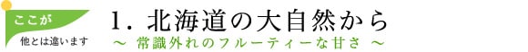���������Ƃ͈Ⴂ�܂�1   �k�C���̑厩�R����