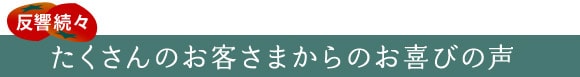 ���q���܂̐�
