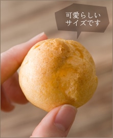 ���炵���T�C�Y�ł�