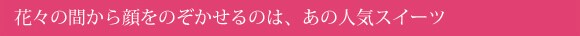 �ԁX�̊Ԃ������̂�������̂́A���̐l�C�X�C�[�c