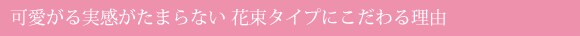  ��������������܂�Ȃ� �ԑ��^�C�v�ɂ�����闝�R