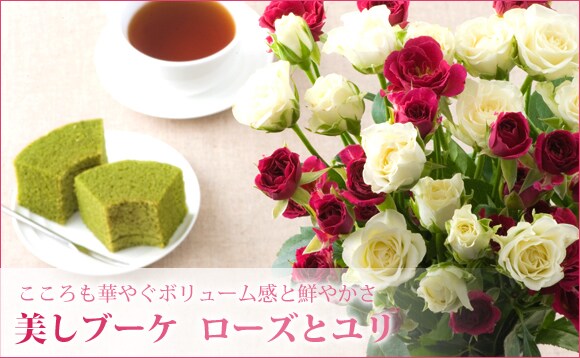 �y�h�V�̓��z�g�u�����v�u�[�P ���[�Y�h���Y�n�����I
