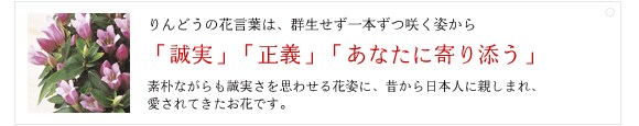 りんどうの花言葉は、群生せず一本ずつ咲く姿から「誠実」「正義」「あなたに寄り添う」。