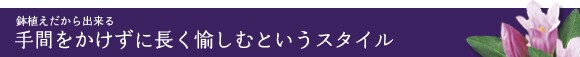 ���A��������ł���@��Ԃ��������ɒ��������ނƂ����X�^�C��