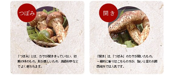 �ڂ݂ƂЂ炫