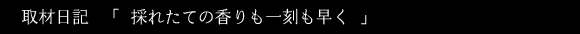 ��ޓ��L  �u �̂ꂽ�Ă̍�����ꍏ������ �v