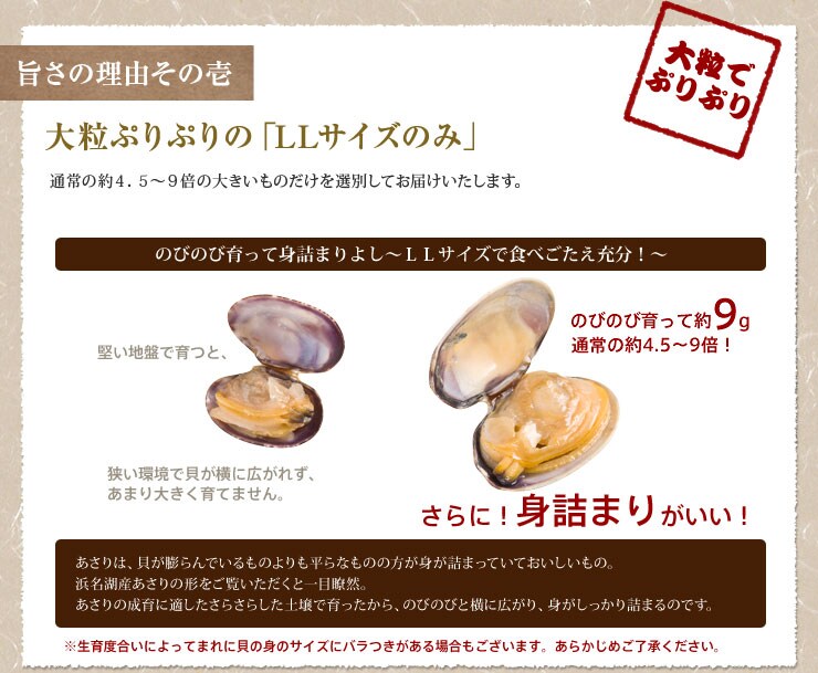 今が旬!だからぷりぷりで「LLサイズのみ」