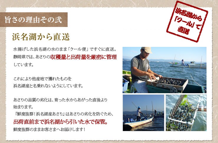 浜名湖から直送