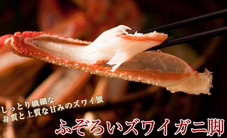 �ӂ��낢�Y���C�K�j�r