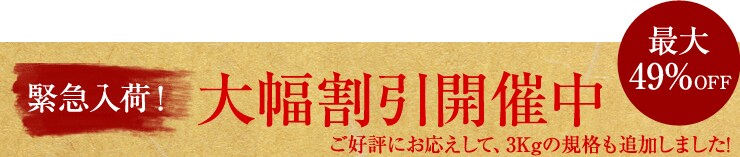 �ً}���ׁI �啝�����J�Ò� �ő�49%off