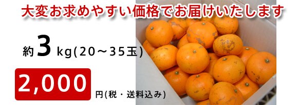 ��ς����߂₷�����i�ł��͂��������܂�