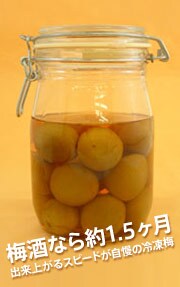 ��Ԃ��炸�̃X�s�[�h�~��