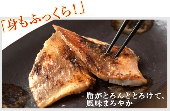 �u�g���ӂ�����I�v �����Ƃ��ƂƂ낯�āA�����܂�₩