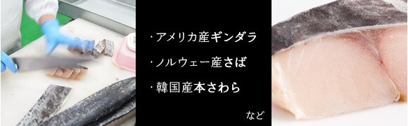 ��A�����J�Y�M���_��
��m���E�F�[�Y����
��؍��Y�̖{�����
�Ȃ�