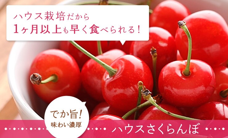 山梨県から“ハウスさくらんぼ(山梨県産) バラ詰め”を産地直送!