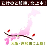 �}�F�����̂��O��