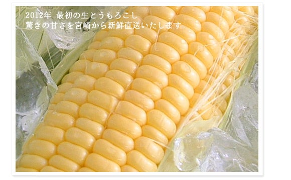 2012�N �ŏ��̐��Ƃ����낱�� �����̊Â����{�肩��V�N�����������܂�