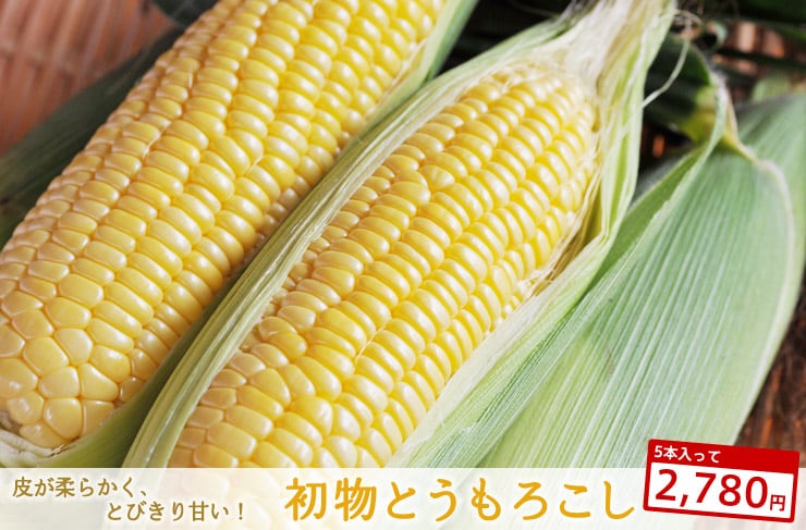 �{�茧����g�����Ƃ����낱���i�s�N�j�b�N�R�[���j�h���Y�n�����I