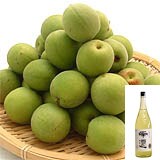 手もぎ梅 梅酒用 約500g+梅酒用日本酒 720ml