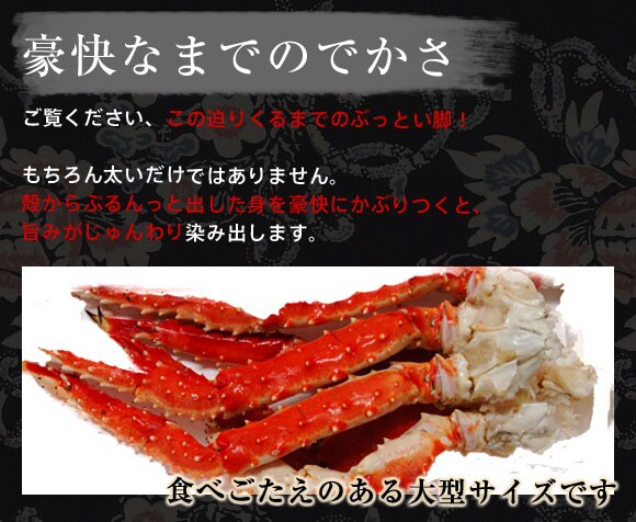 豪快なまでのでかさ