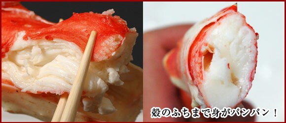 殻のふちまで身がパンパン!