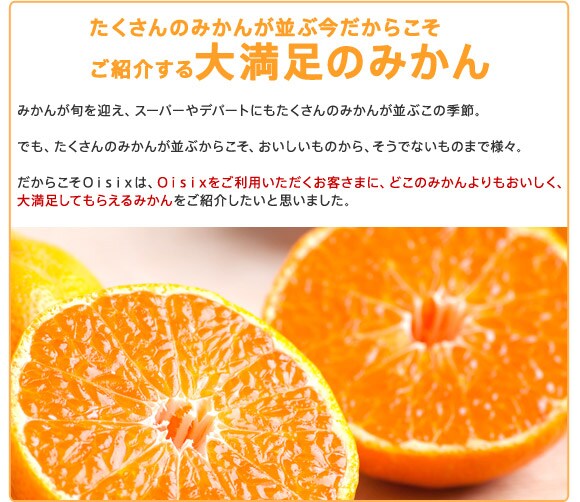 たくさんのみかんが並ぶ今だからこそ
ご紹介する大満足のみかん