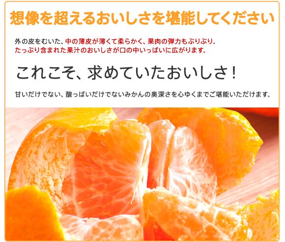 想像を超えるおいしさを堪能してください