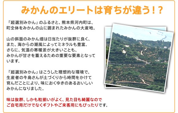 みかんのエリートは育ちが違う!?