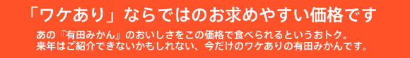 �u���P����Ȃ�ł͂̂����߂₷�����i�ł��v