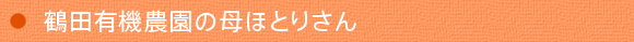 �ߓc�L�@�_���̕�قƂ肳��