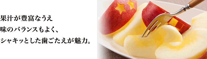 �ʏ`���L�x�Ȃ������̃o�����X���悭�A�V���L�b�Ƃ����������������́B
