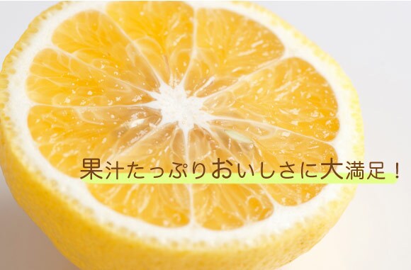 果汁たっぷりおいしさに大満足!