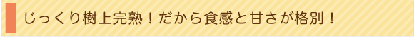 じっくり樹上完熟!だから食感と甘さが格別!