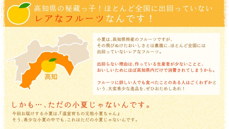 高知県の秘蔵っ子!ほとんど全国に出回っていないレアなフルーツなんです!