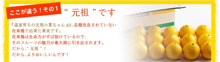 ここが違う!その1 元祖です