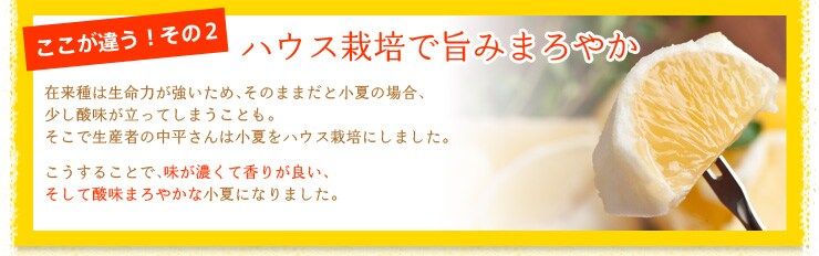 ここが違う!その2 ハウス栽培で旨みまろやか