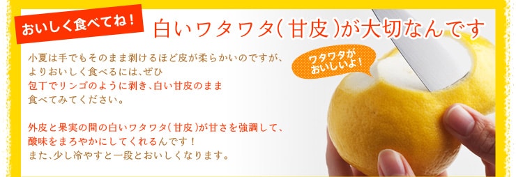 おいしく食べてね! 白いワタワタ(甘皮)が大切なんです